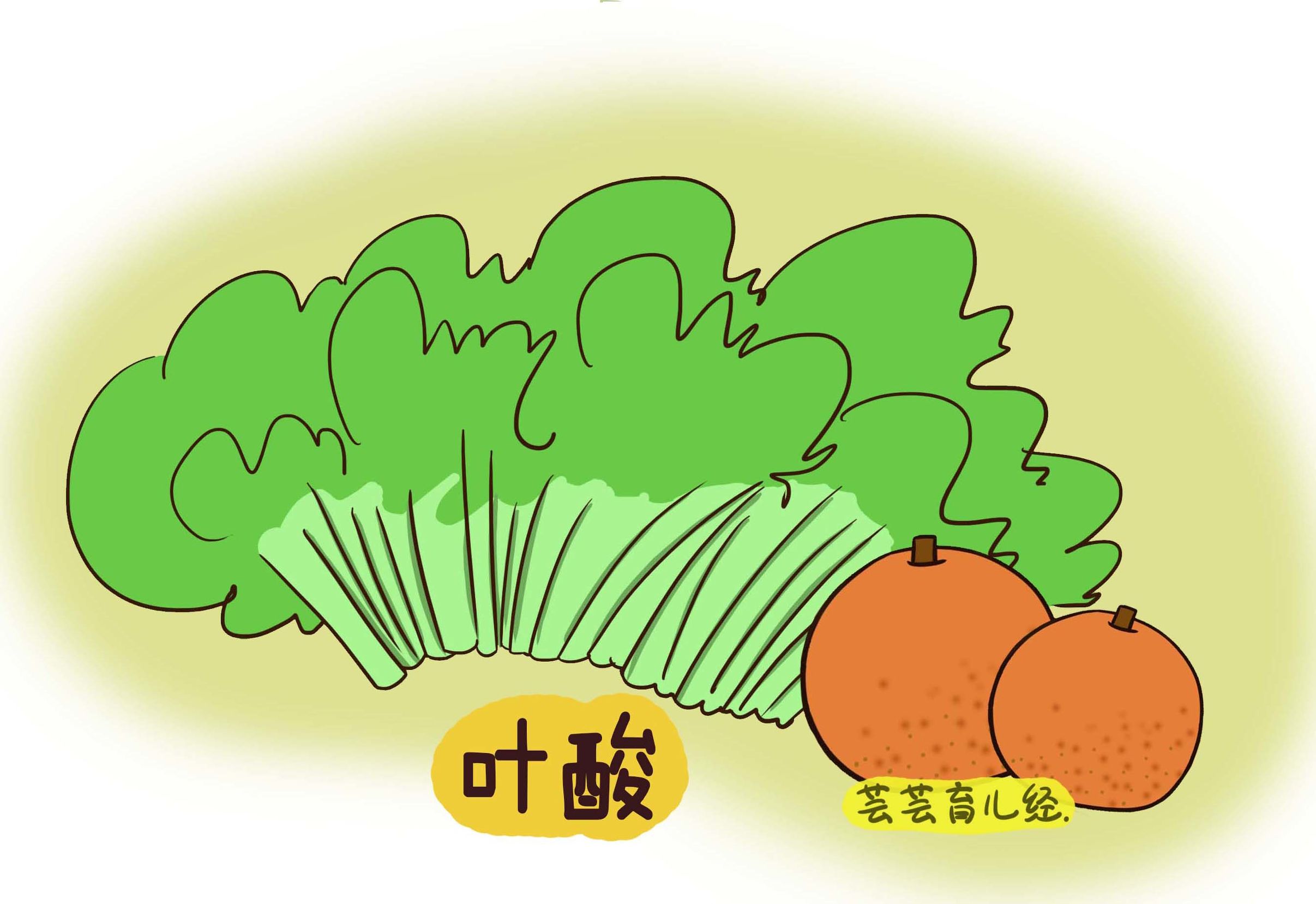 对孕宝宝发育好的食物,胎儿发育迟缓吃什么补充营养