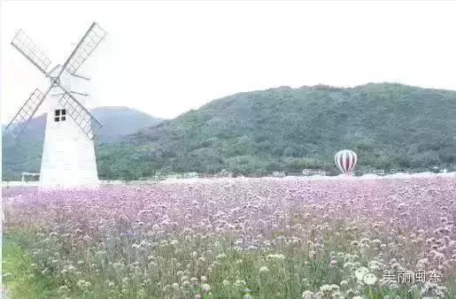 宁德丽城小筑农家乐,宁德周边农家乐一日游