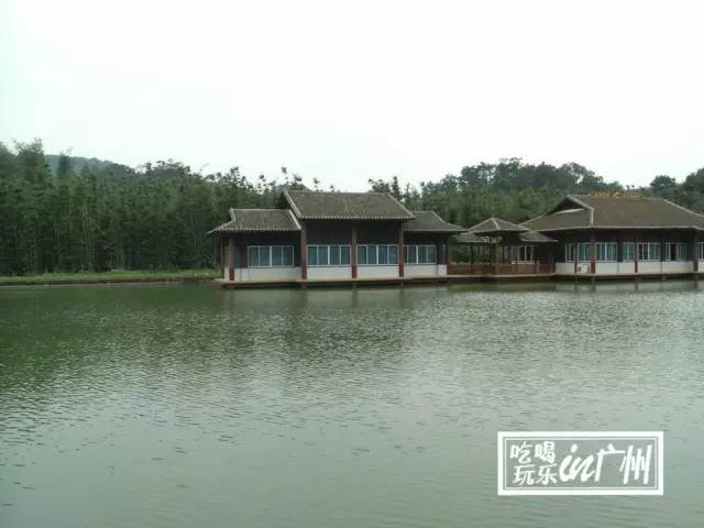 广州最新最美最好玩的景点,广州最值得去玩的景点推荐一下