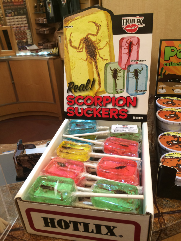 没去过美国的真实感受,去过美国以后才知道的事