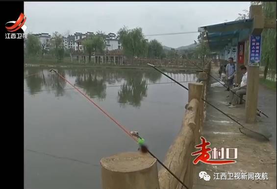 一种神奇的鱼,一种很神奇的鱼