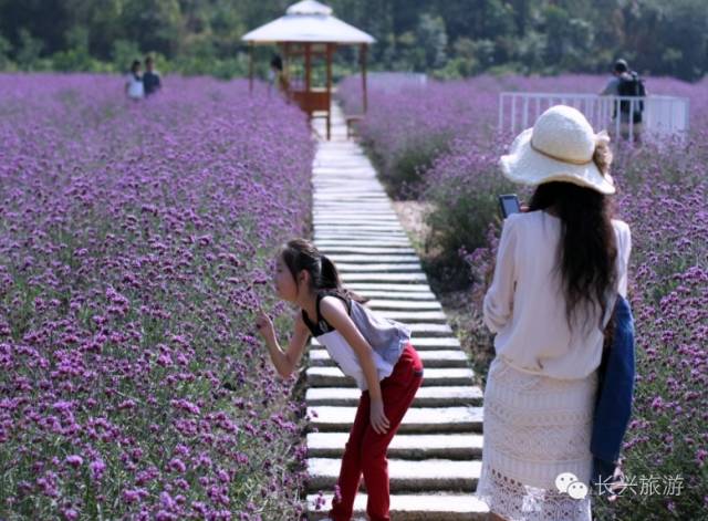 长兴一不小心,湖州长兴成了“中国最美休闲胜地”!