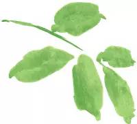 毕业后同学会怎么样,毕业后校友会有必要去吗