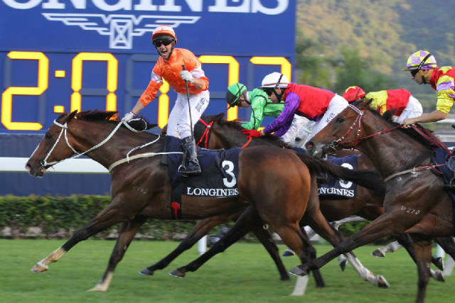 “将男”!上季“最佳长途马”正式退役