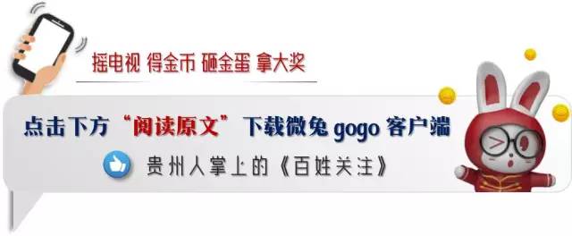 电子秤藏猫腻,电子秤的猫腻怎么处理