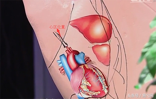 手掌大拇指下方肉发青色,手掌颜色偏青是什么原因