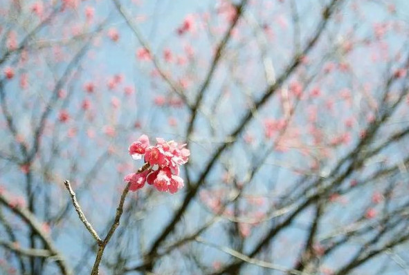 摩羯座和射手座不冷不热,摩羯座对你语气不耐烦