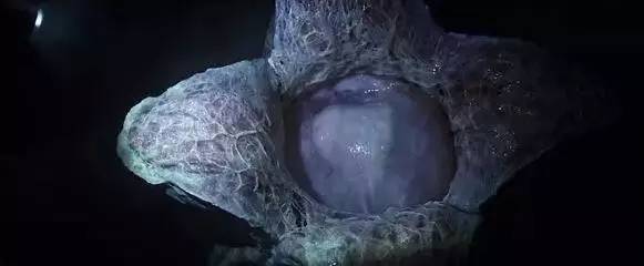 异形2全集剧情解析,看完异形二该看什么了