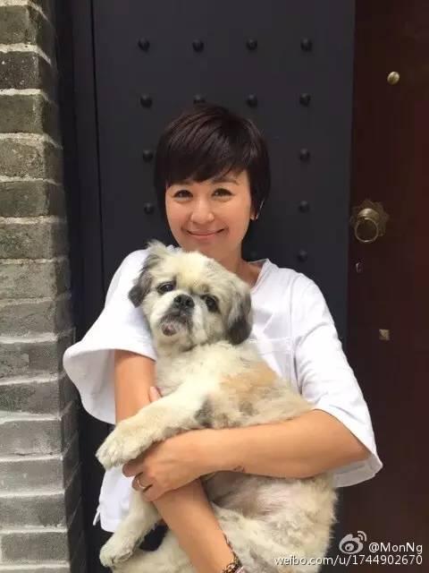 最美童星离婚事件,最美童星现状