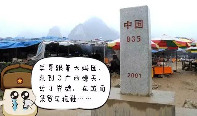 没有外资的国产汽车品牌,madeinchina是什么牌子的车