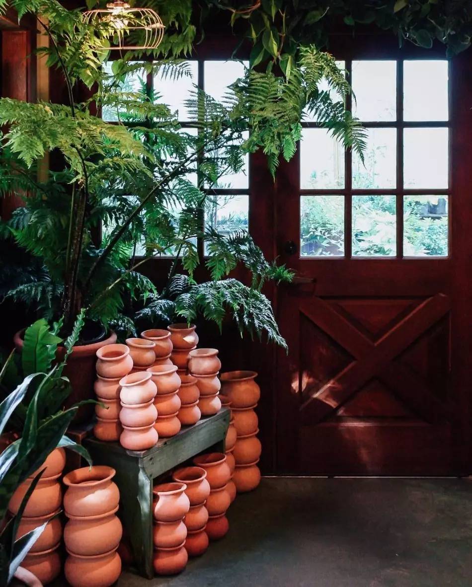 卖的最好的植物店,植物店能买到哪些植物