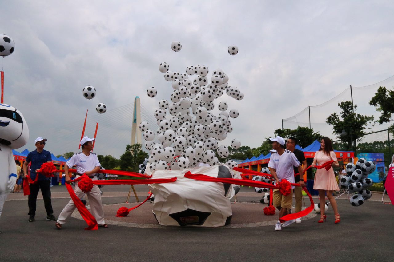 广东佛山市足球联赛,2017佛山市青少年足球锦标赛