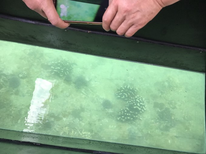 带着二宝出去走走,一拖二带娃三亚旅游攻略