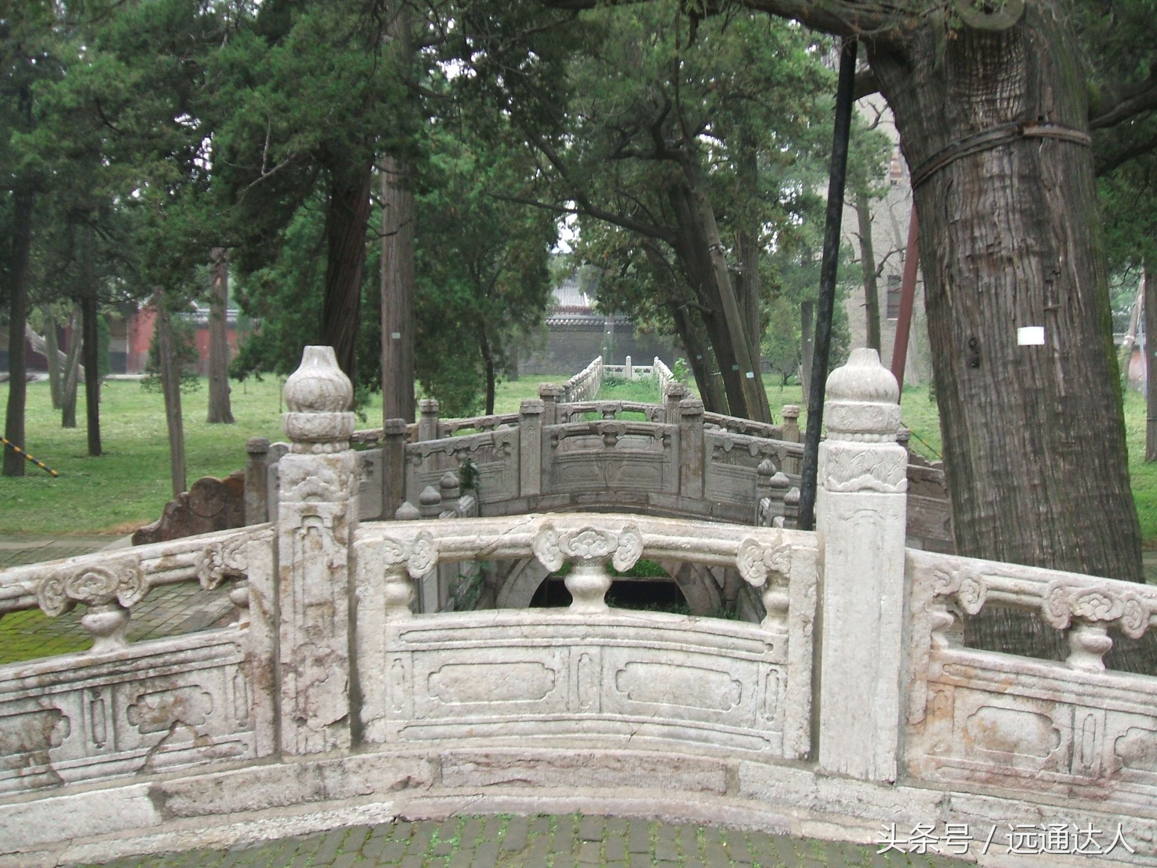 身为泰安人第一次爬泰山,陪爷爷爬泰山感慨朋友圈