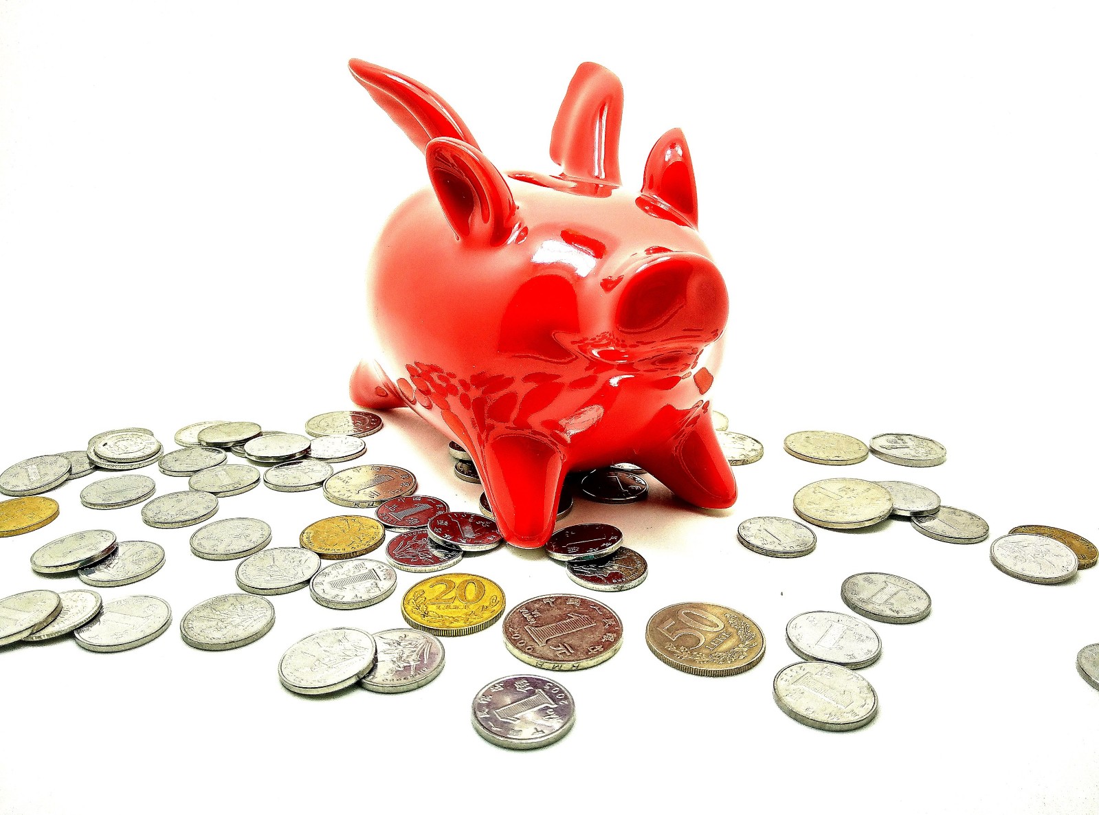 站在风口上猪都能飞电影,站在风口猪也可以飞起来