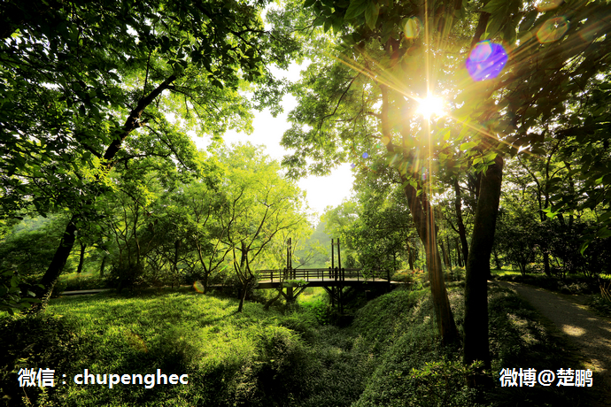 曾是马云江南会,只有9间房,中国最牛的野奢度假村什么样