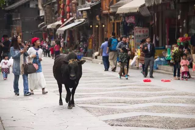 贵州黔东南自由自在的生活,在黎平想做兼职有哪些