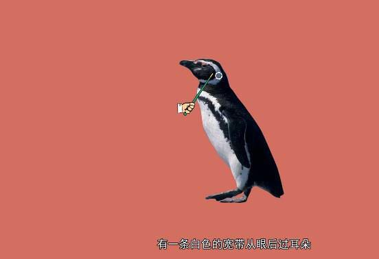 重庆欢乐海底世界儿童节门票,重庆欢乐海底世界海洋馆价格