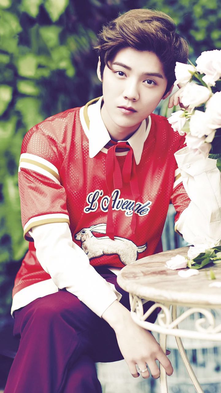 帅气鹿晗主题壁纸高清图片,鹿晗手机壁纸高清帅气动漫