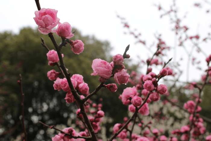 江苏无锡城市风景,江苏被忽略的城市