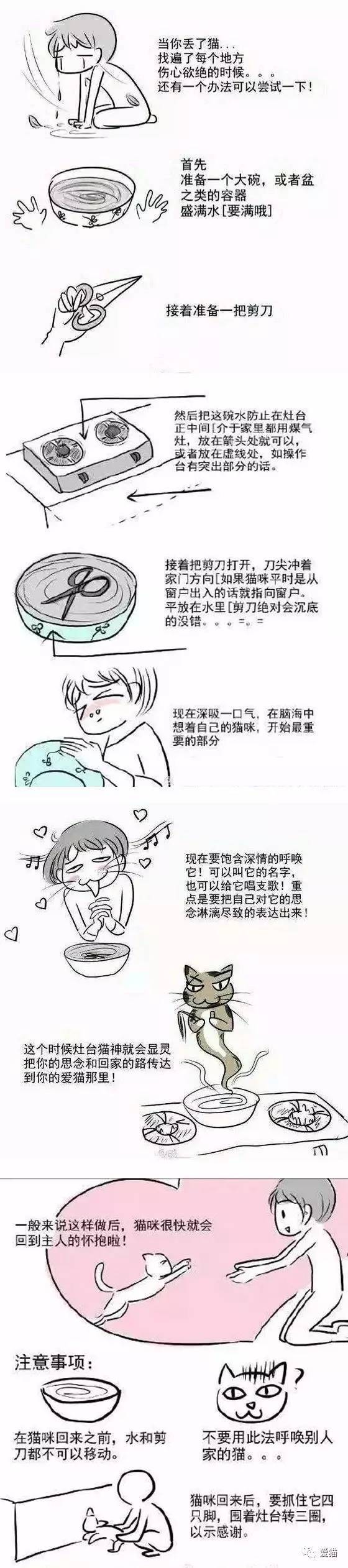 剪刀大法回来的猫,剪刀法找猫成功几率