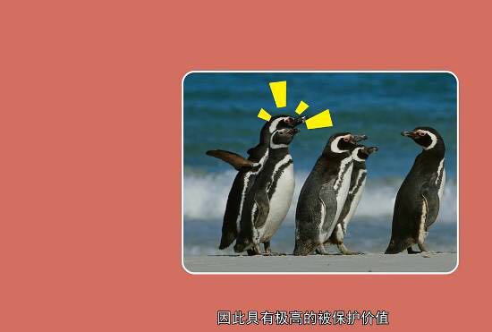 重庆欢乐海底世界儿童节门票,重庆欢乐海底世界海洋馆价格