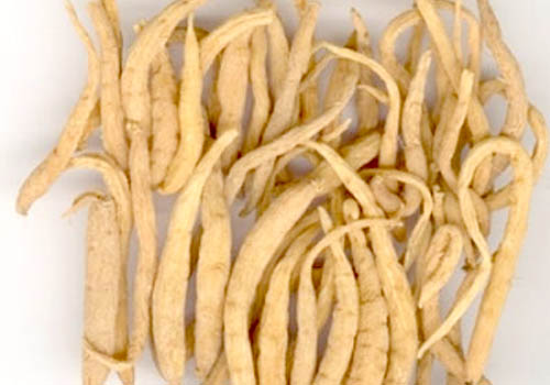 同样是参,人参、沙参、太子参、*党**参,你都知道补什么么?