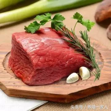 全牛各部位分割图解与吃法,牛肉超齐全的顶级牛肉知识和做法