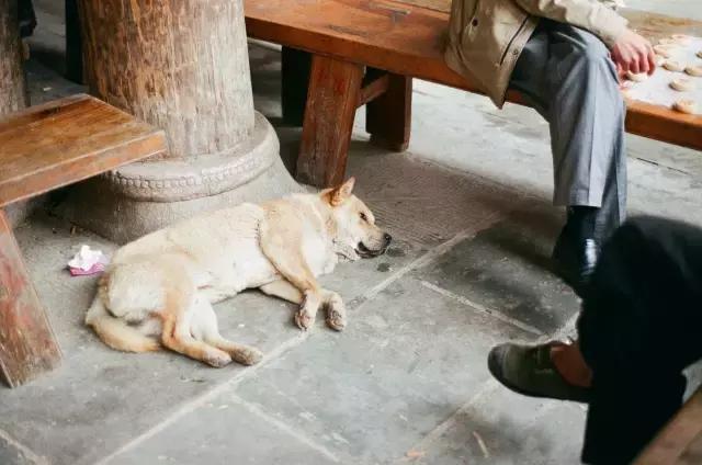 贵州黔东南自由自在的生活,在黎平想做兼职有哪些