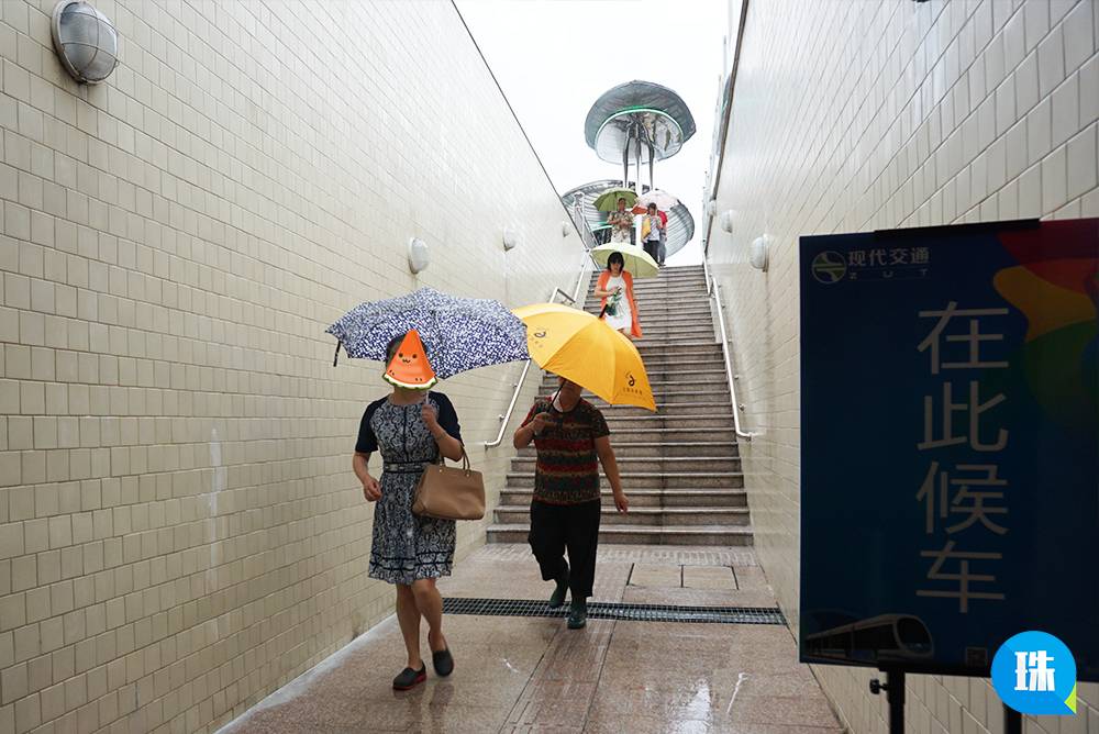 独家体验｜“苗柏”也挡不住珠海有轨电车通车的步伐！