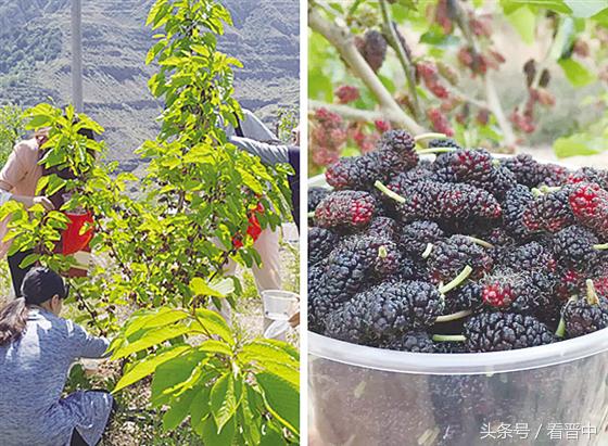 走在平遥古城的大街上,平遥的沿途风景