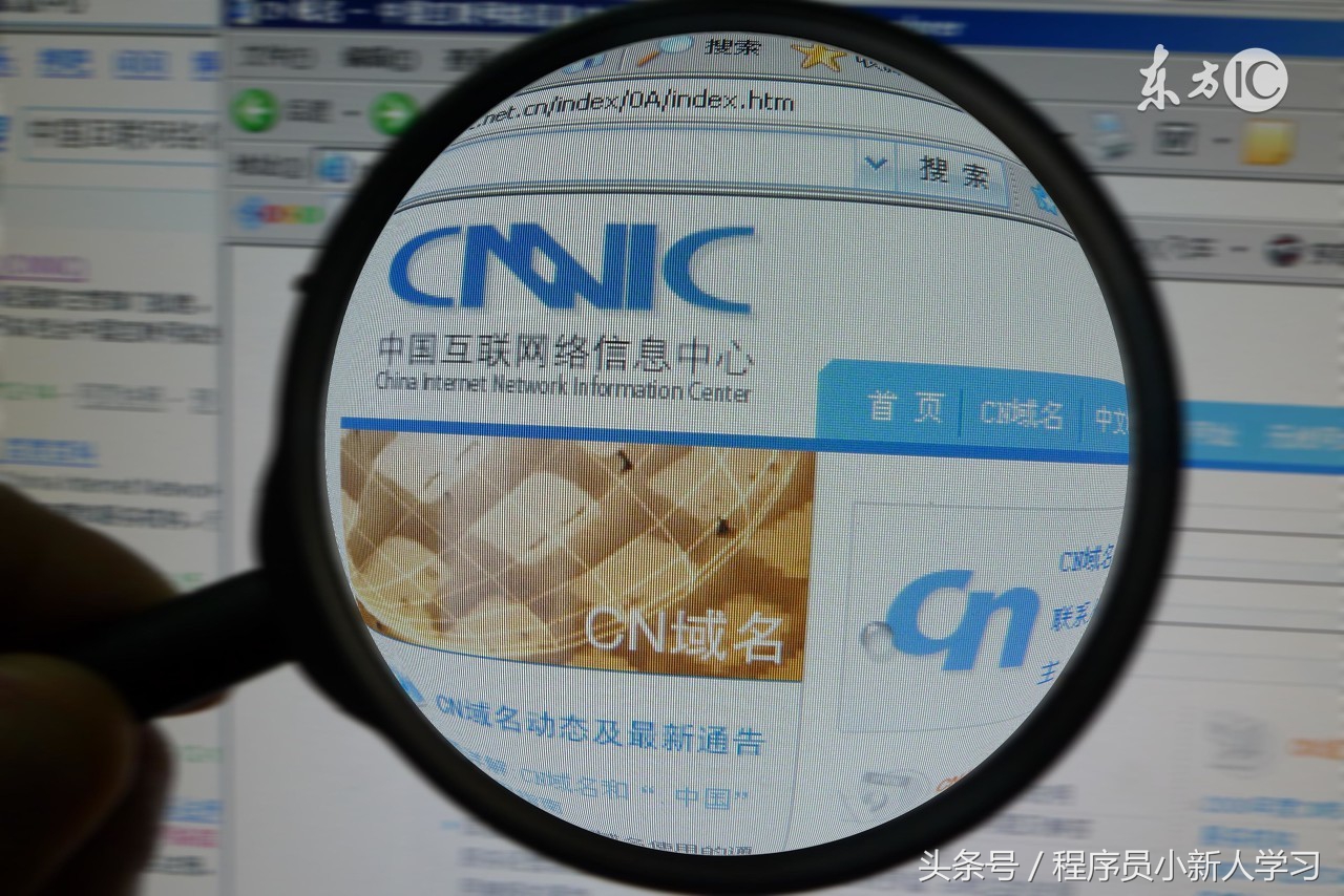 网站域名费一年多少钱,网站域名注册多少钱