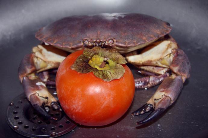 螃蟹跟柿子同食会致命吗,螃蟹和柿子一起吃会危及生命吗