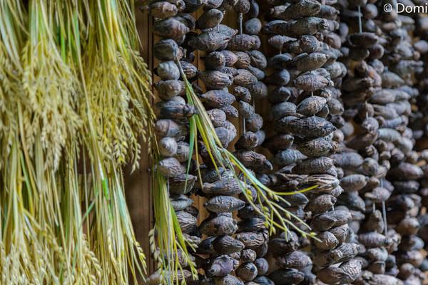 一顿海鲜大餐都有什么,海鲜大餐又便宜又营养又好吃