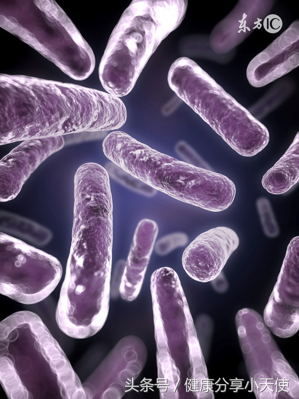 从细菌的生长规律探讨胃肠道——微生态平衡调整