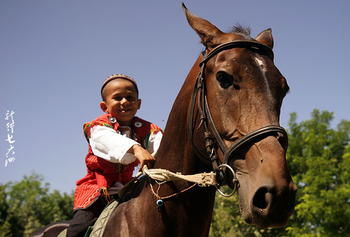 土库曼斯坦血统最纯的汗血宝马,土库曼斯坦最顶级汗血宝马