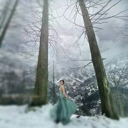 岁月，用心的供养一芰莲