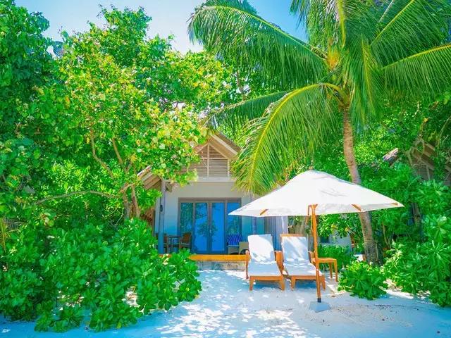 喜大普奔完整版视频,喜大普奔完整视频