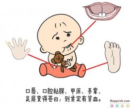 小儿贫血健康指导,婴幼儿贫血如何预防和纠正