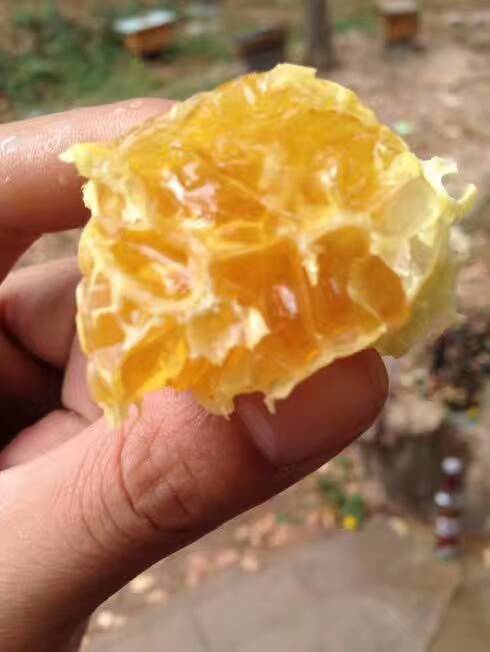 农村山里有什么特产,不起眼的农村土特产是什么