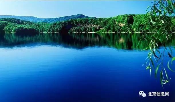 父亲节陪爸爸去玩耍,爸爸和宝贝间的互动父亲节