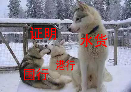 国行港版水货,手机国行水货和港行区别