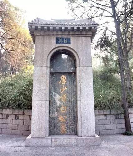 在天愿作比翼鸟是白居易的什么诗,在天愿作比翼鸟白居易感情