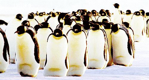 吃货小情书,一封来自小樽的情书完整版