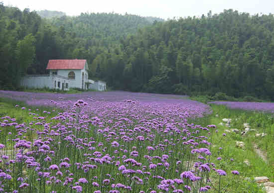 南昌市旅游景点大全,南昌市旅游景点推荐大全