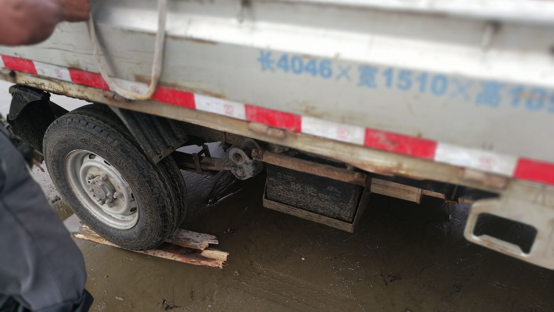 黄蛤怎么捕食,挖青蛤的正确方法视频