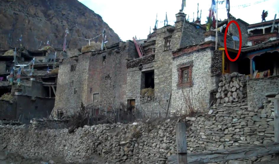 世界最好的冬虫夏草 (尼泊尔的冬虫夏草好不好)