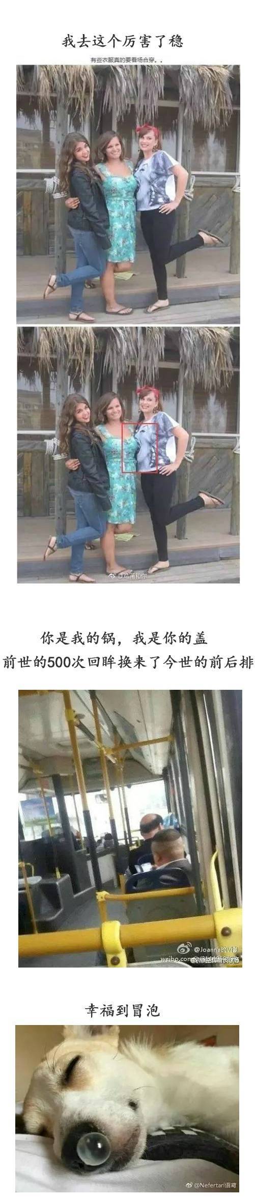 卧春古诗搞笑版是哪里的方言,各地方言搞笑剧