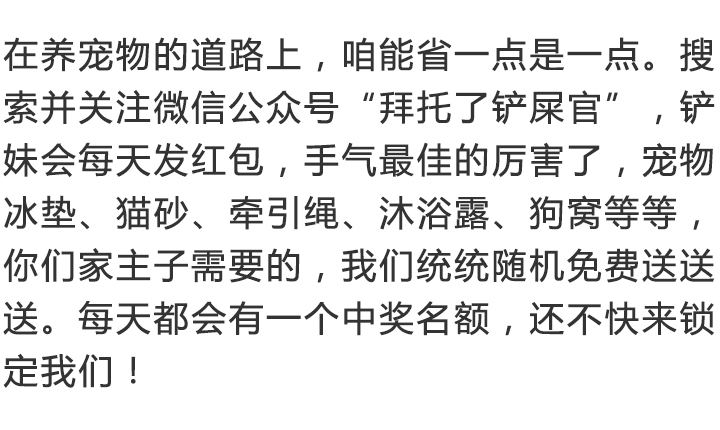 养猫家里异味怎么处理,租房养猫搬走如何消除异味