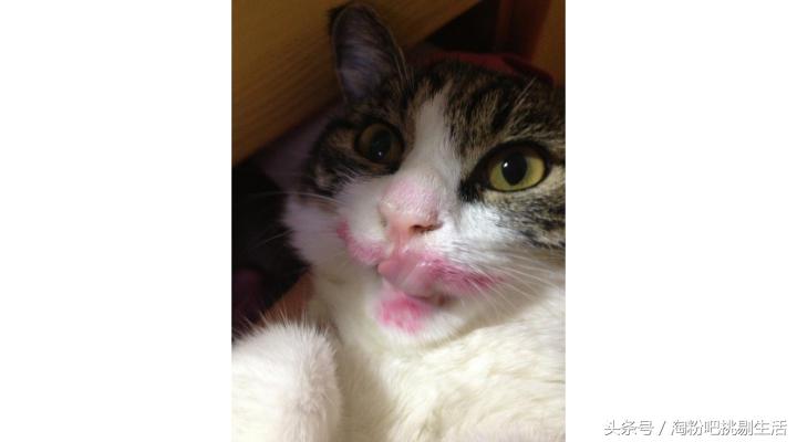 5款大气又显白的口红分享给你,实用口红经典口红推荐哪款